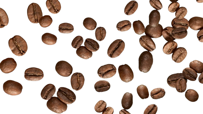 Les Cafés Grains